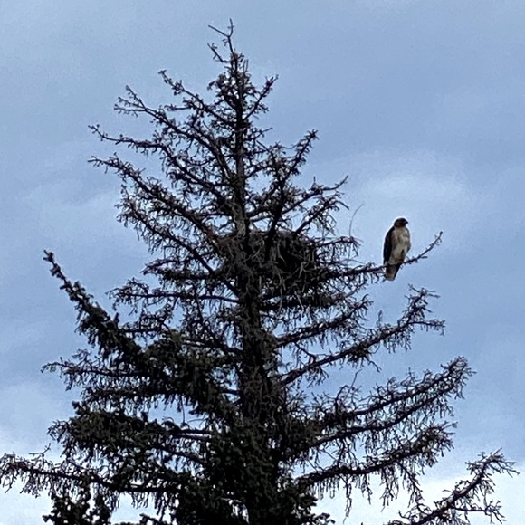 Meet your Posher, Kate - Picture 1 of 1